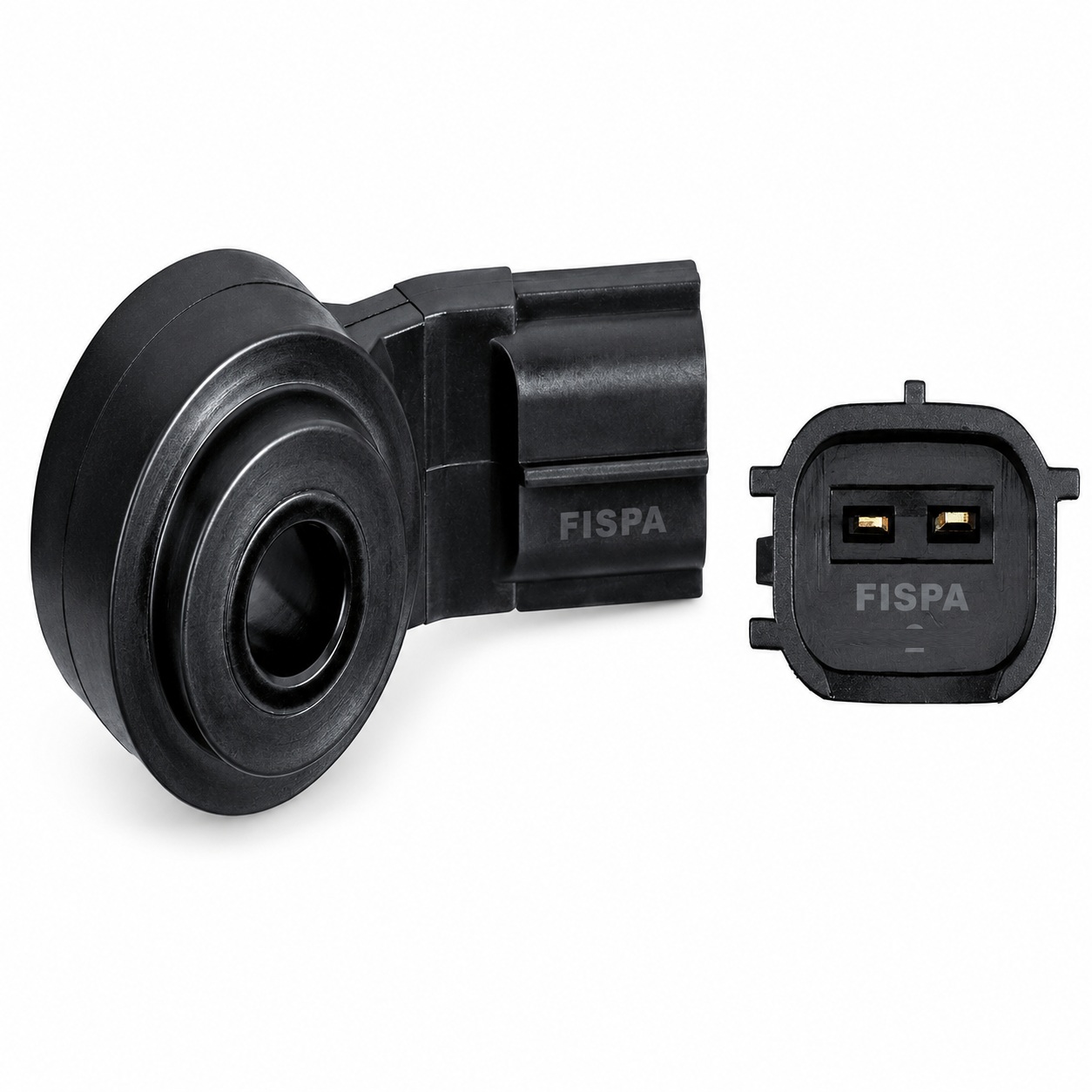 FISPA 12041