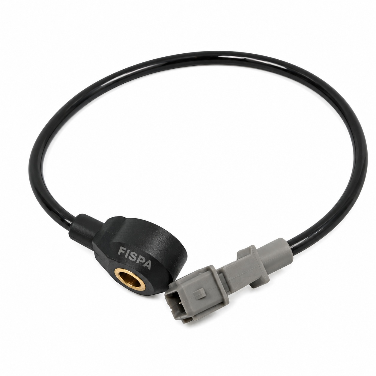FISPA 12044