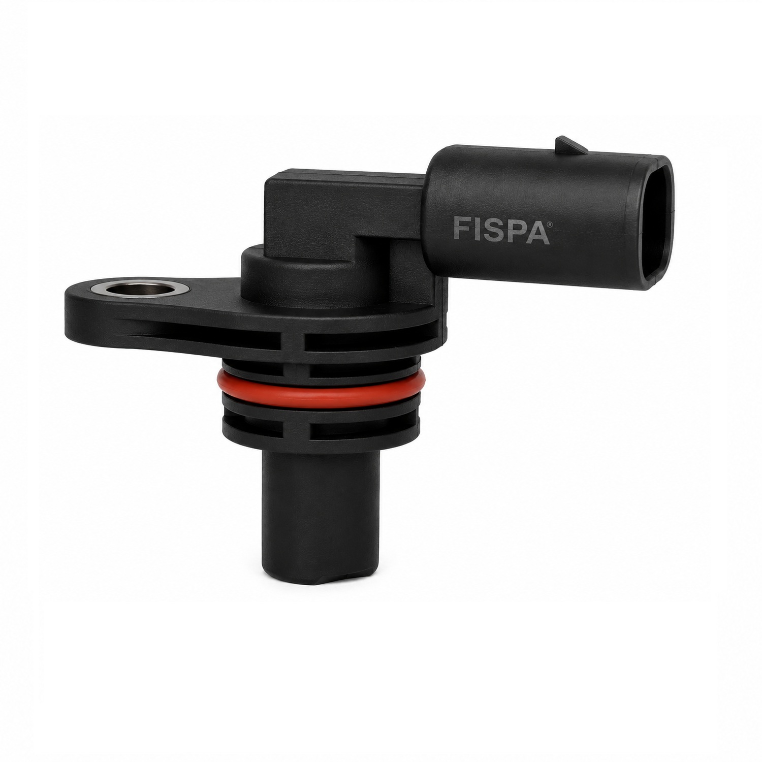 FISPA 30019