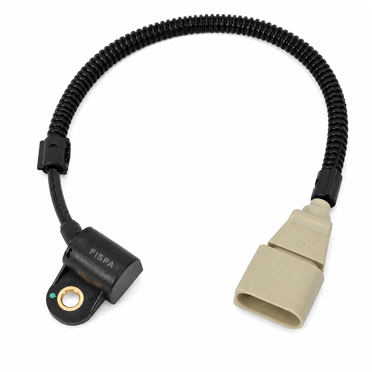 FISPA 30071