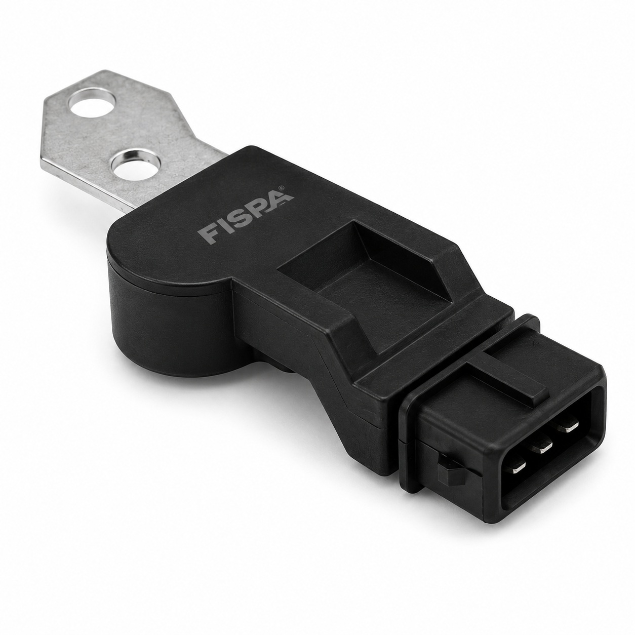 FISPA 30095