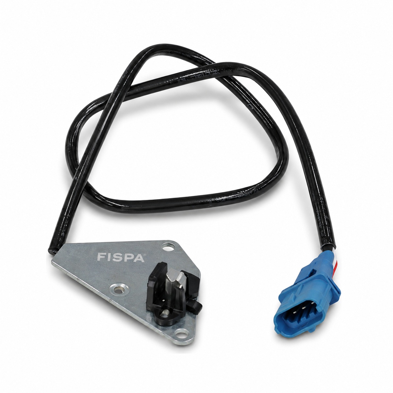 FISPA 30123