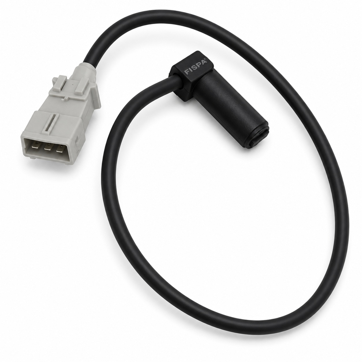 FISPA 30158