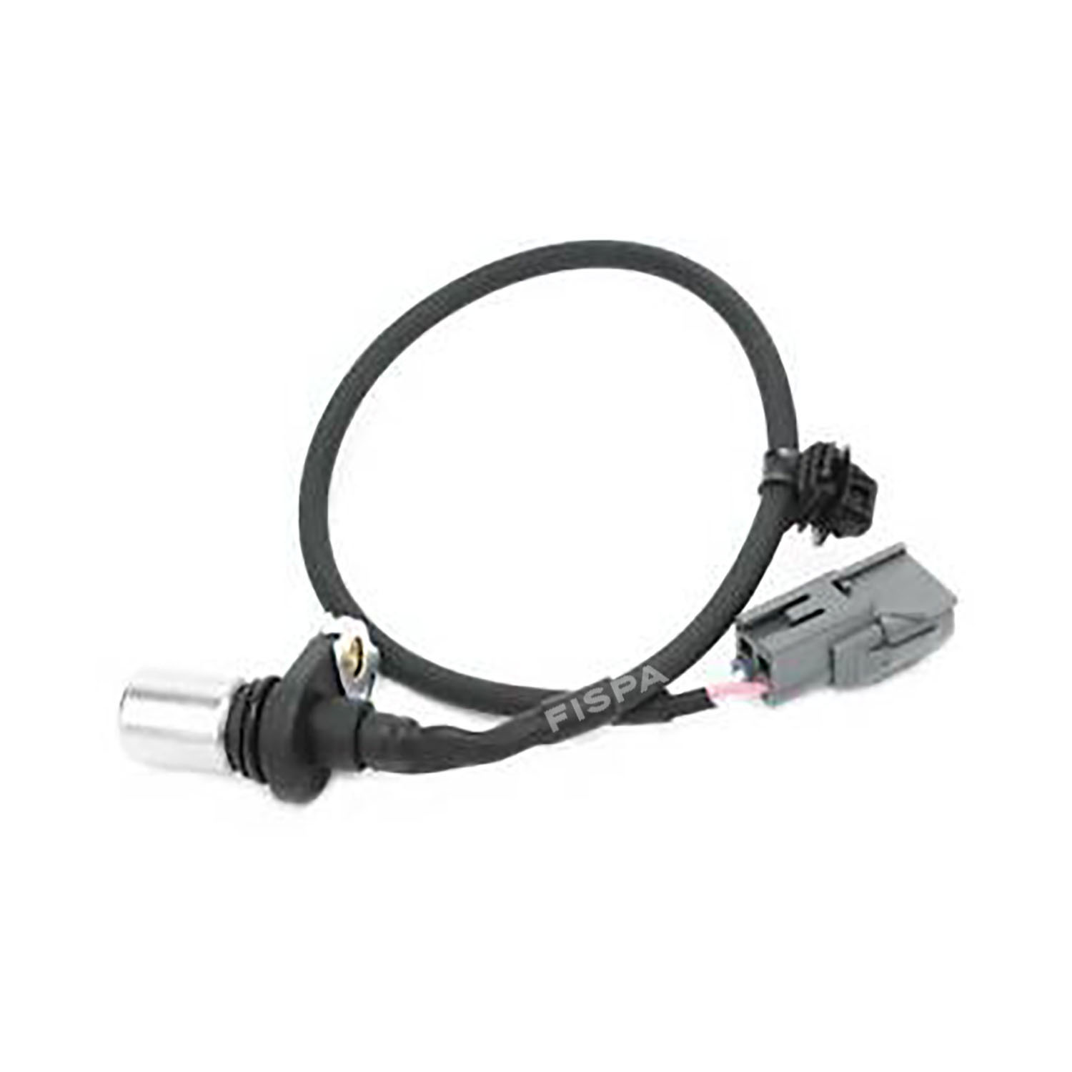 FISPA 30277