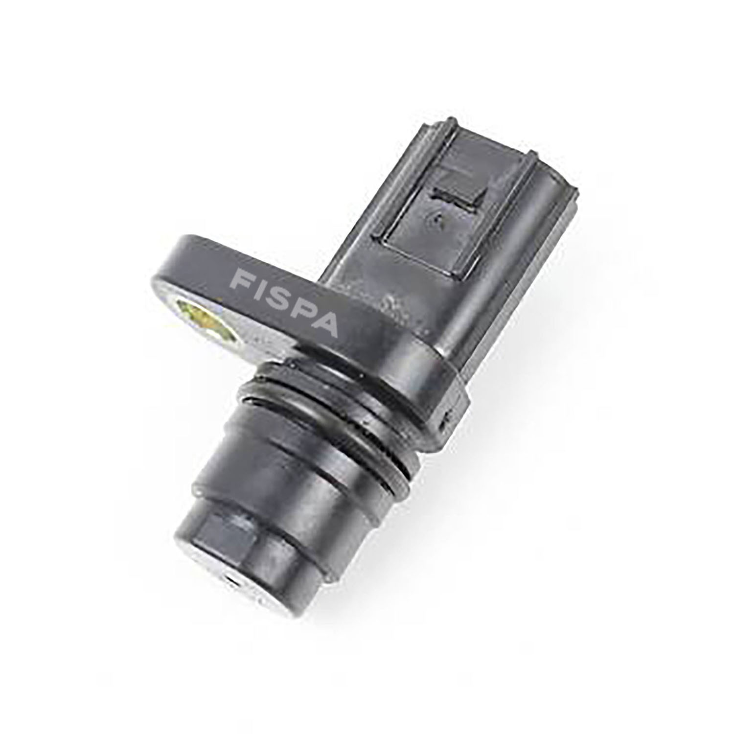 FISPA 30282