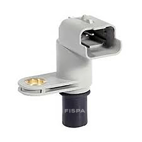 FISPA 30304
