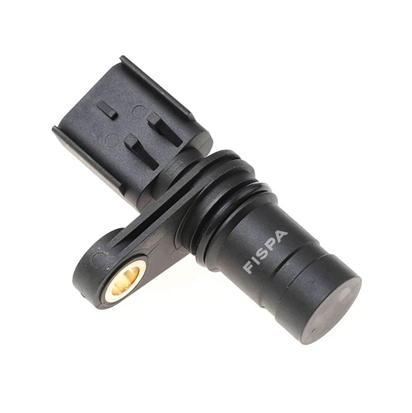 FISPA 30306