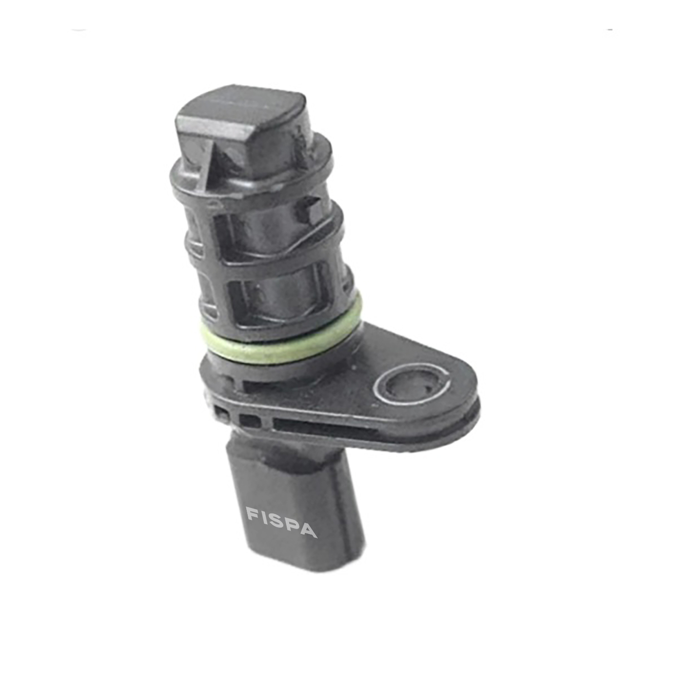 FISPA 30307