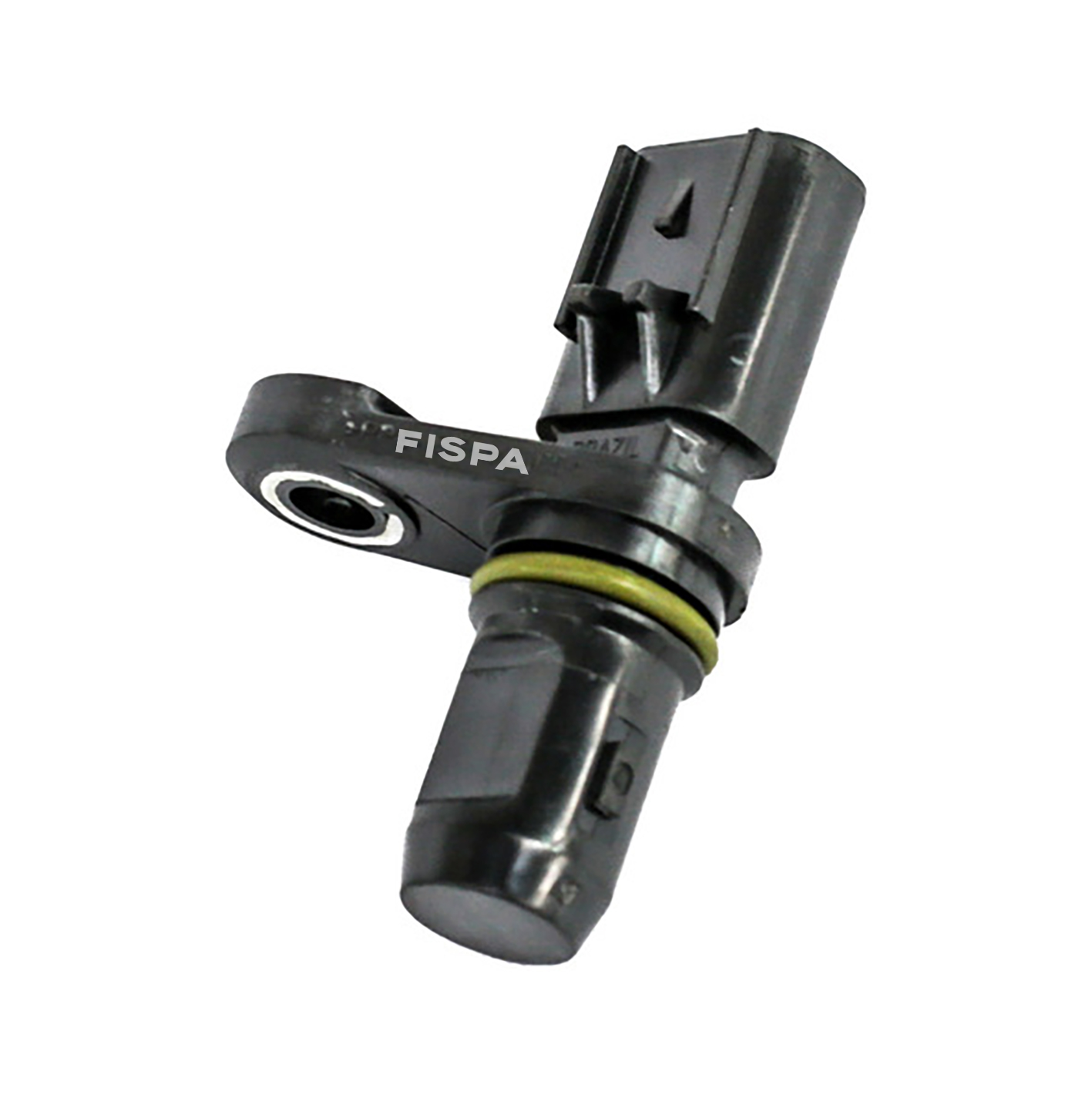 FISPA 30308