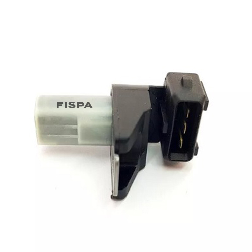 FISPA 30310