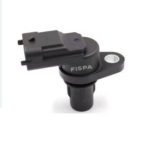 FISPA 30311