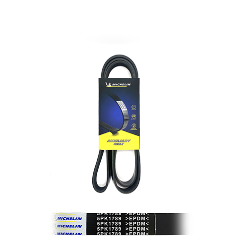 FISPA 5PK1789